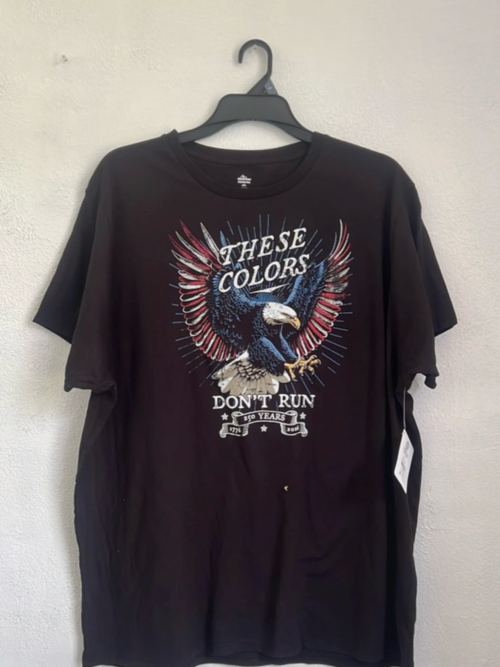 Men's Black Eagle Graphic Tee - Patriotic 'These Colors' Design